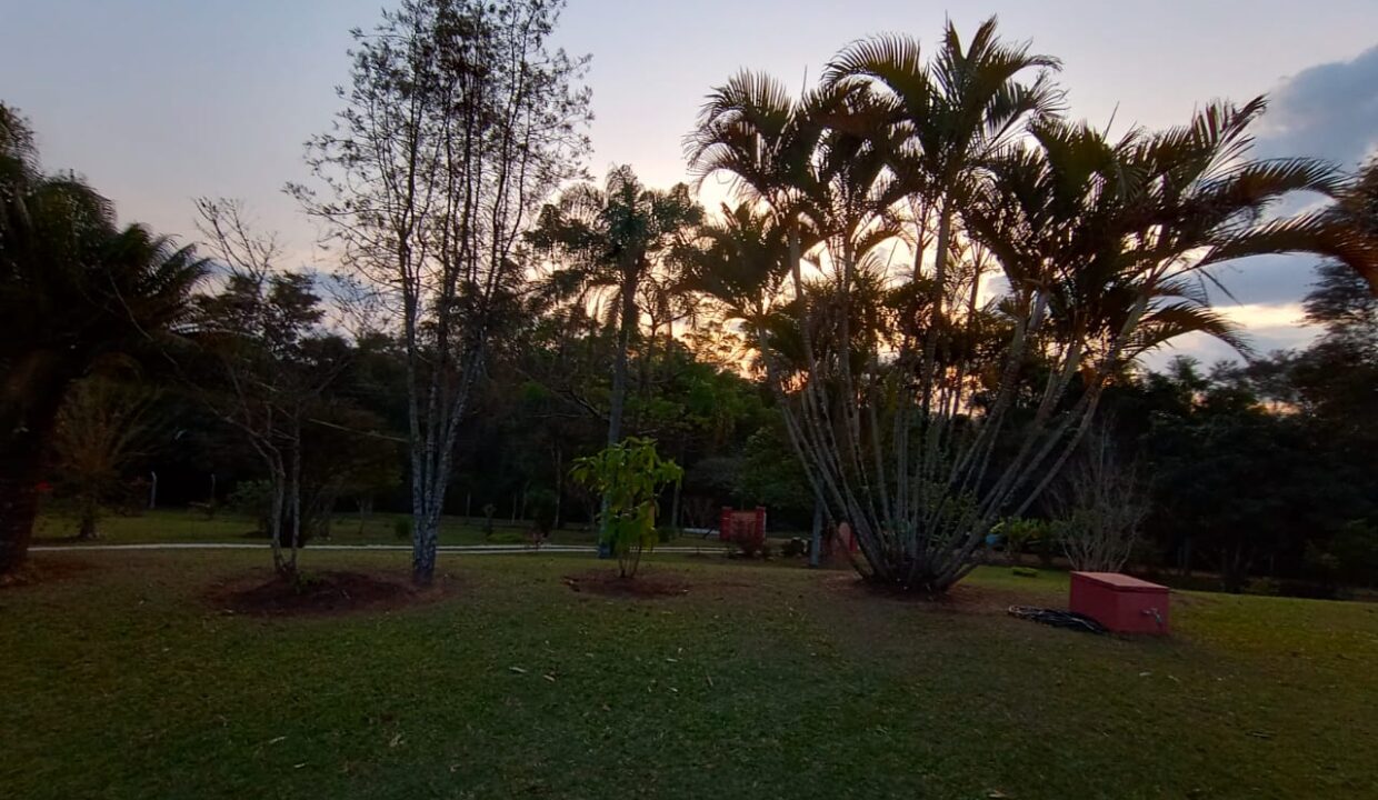 b872476f-96c4-4213-90ad-de3a9997f79b