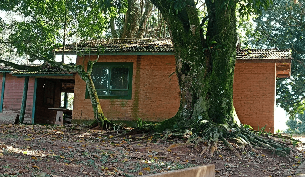 c668ead3-7cc3-481b-b626-78a96e97428a