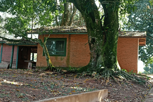 c668ead3-7cc3-481b-b626-78a96e97428a