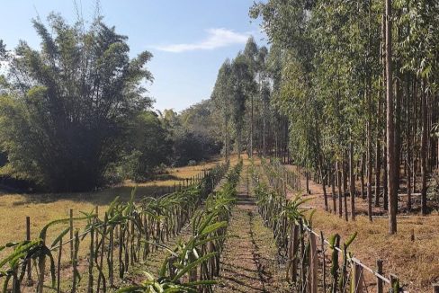 Imagem do WhatsApp de 2025-08-08 à(s) 11.42.28_cc9841b6